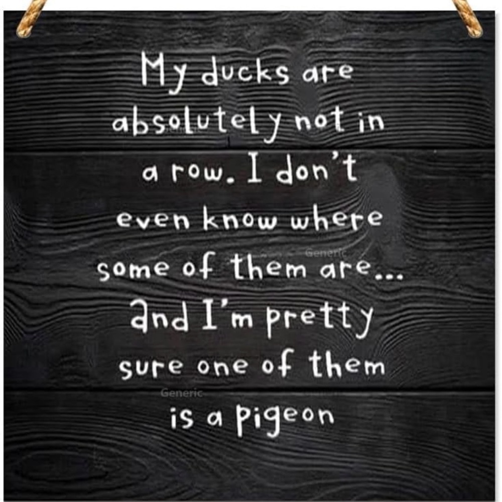 Wooden Hanging Sign My Ducks Are Absolutely Not In A Row.